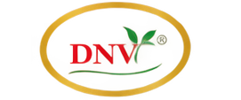 DNV